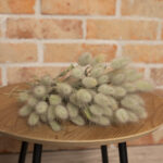 Suszony-dmuszek-jajowaty-Lagurus-suszone-trawy-bukiet